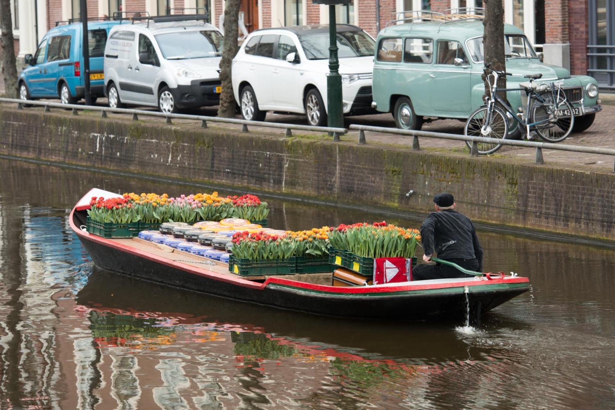 Villa View Alkmaar Eksteriør billede
